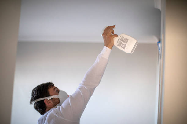 Best Mold Remediation for Schools in Tichigan, WI