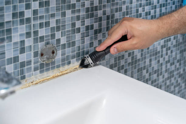 Best Post-Flood Mold Remediation in Tichigan, WI