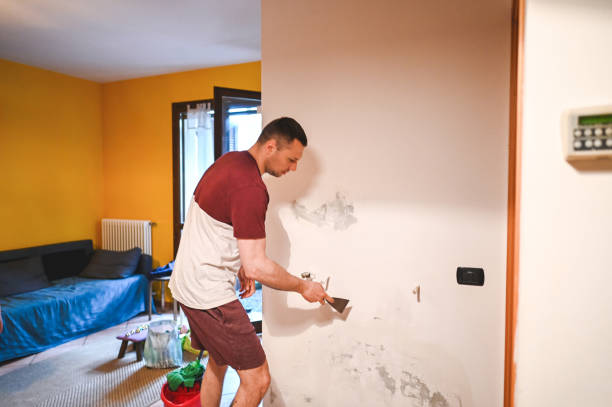 Best Kitchen Mold Remediation in Tichigan, WI
